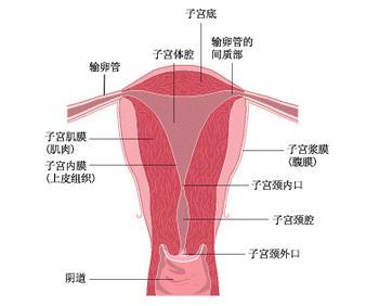 子宫内膜异位的临床症状