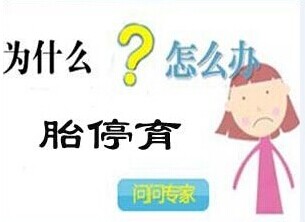 为什么会胎停