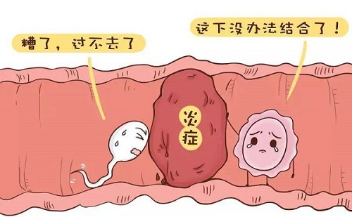输卵管炎危害