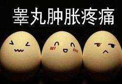 睾丸炎和附睾炎的区别有哪些